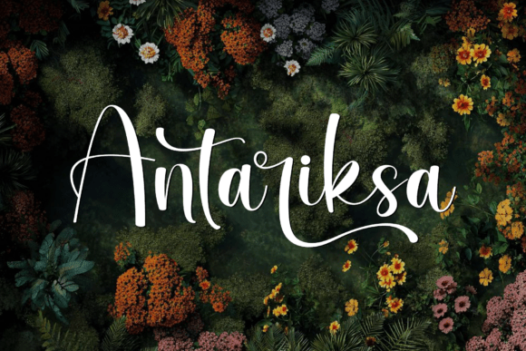 Antariksa Font: A Graceful Script for Modern Branding