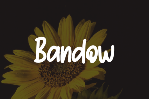 Bandow: A Modern Typeface for Professional Branding