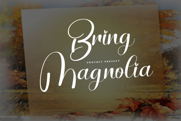 Bring Magnolia: The Script Font That Elevates Your Brand