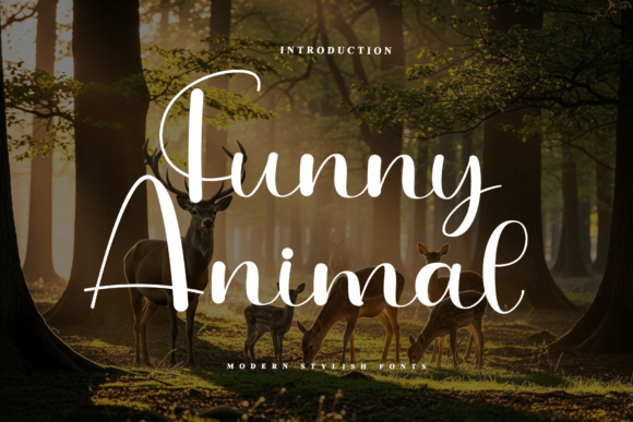 Funny Animal Font Review for Web Designers