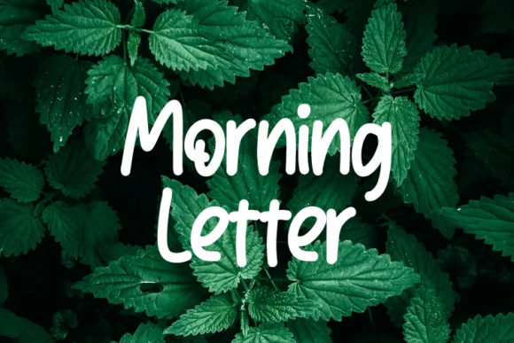 Morning Letter: A Cheerful Script Font for Editorial Design