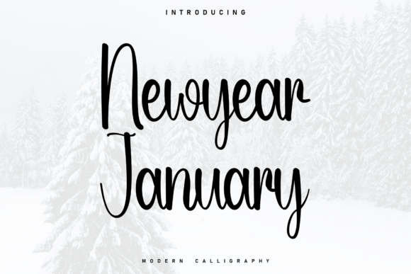 Newyear January: A Designer's Review for Branding